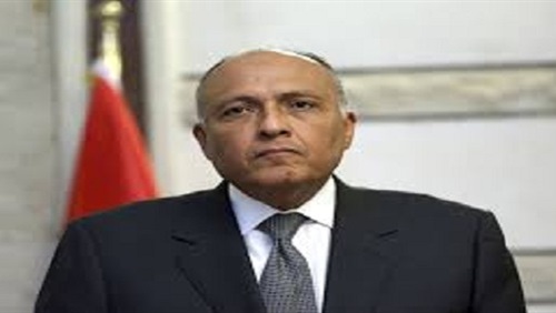 وزير الخارجية المصري: