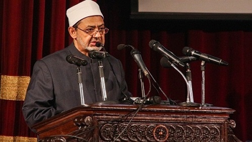 الطيب في برلين: لا