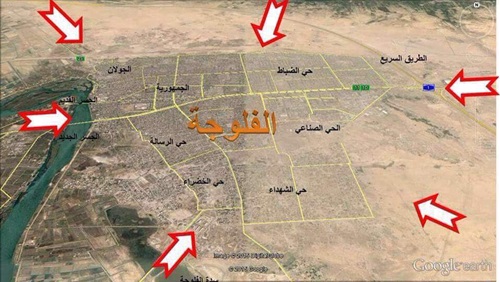 بعد تحرير الفلوجة..