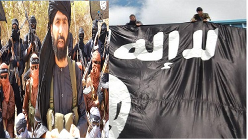 تجديد بيعة الصحراوي..