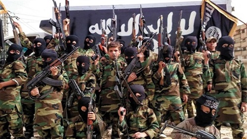 الجيل الرابع من التنظيمات