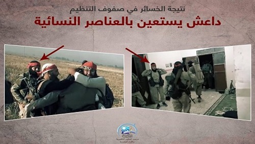 مرصد الإفتاء يوثِّق