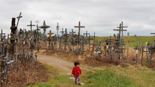 تقرير بوكو حرام 