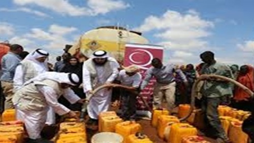عودة المنظمات العالمية