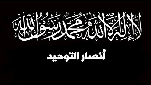 تنظيم أنصار التوحيد..