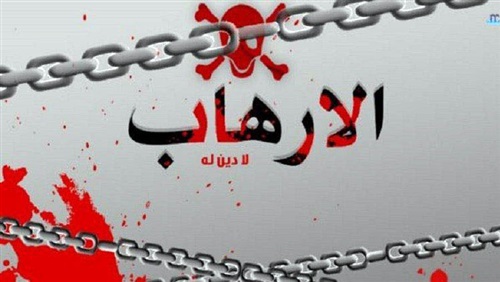 استغلال التنظيمات