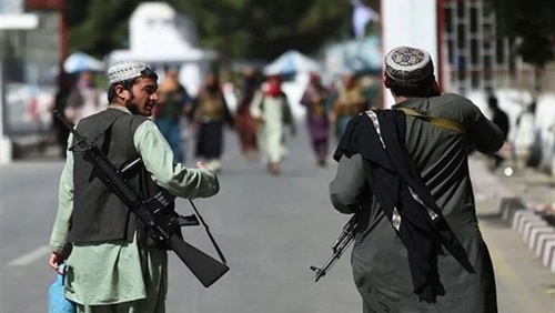 طالبان باكستان تقتل