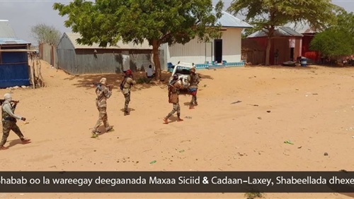 من شابيلي الوسطى