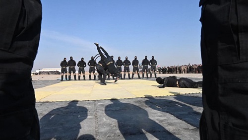 تنسيق أمني عراقي–سوري