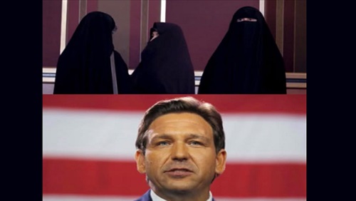 بين حماية الدستور