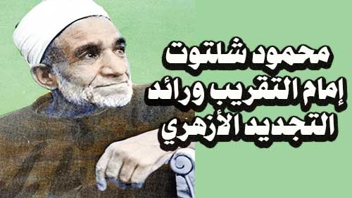 شاهد/ محمود شلتوت: