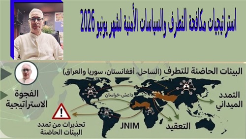 استراتيجيات مكافحة
