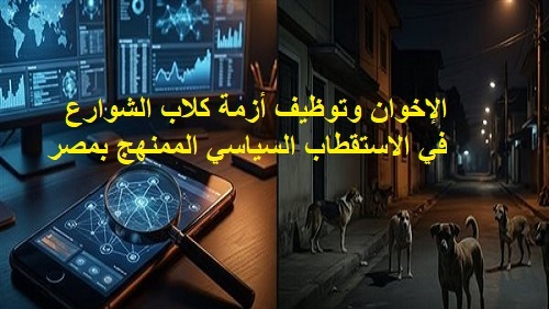 الإخوان وتوظيف أزمة