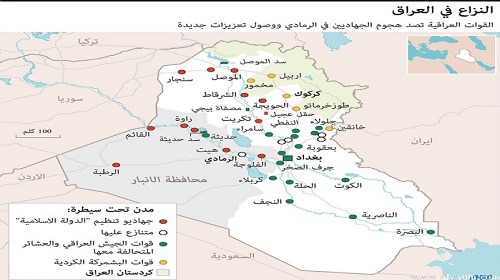 سرب من طائرات «الخنزير