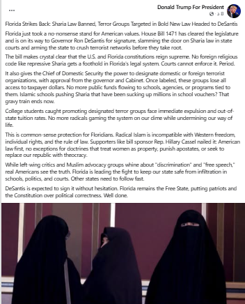 بين حماية الدستور