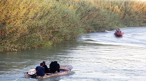 زواج على خط النار