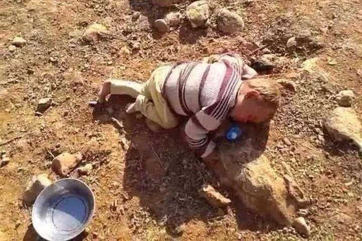 الحصاد المُر في2014