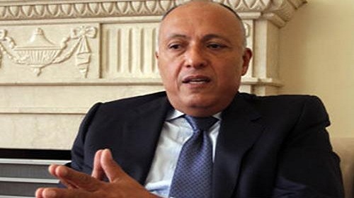 جهود عربية لحل الأزمة