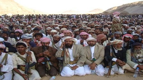قوة القبيلة: