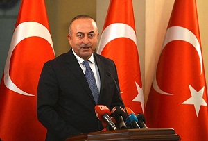الدور التركي وتحفظ