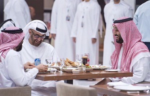 التحالف العربي: