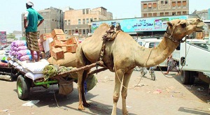 الوضع الإنساني