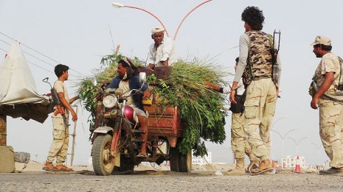 أنصار هادي في الجيش