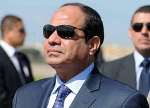 قراءة في مبادرات