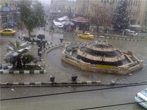  الطائفية  تفكك شبكة