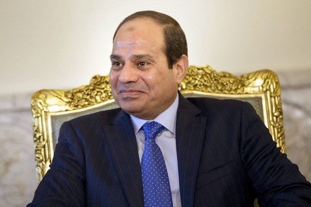 السيسي ينسق الجهود