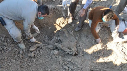 مجددًا.. مقابر داعش