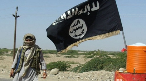 القاعدة.. المشهد