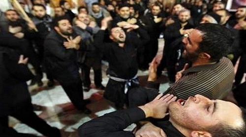 التشيع يضرب الجزائر